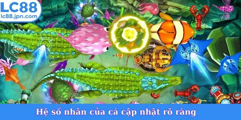 Hệ số nhân của cá cập nhật rõ ràng